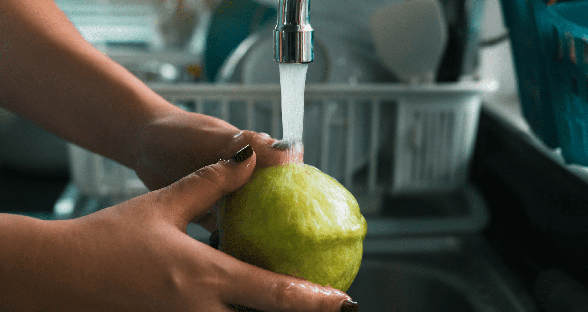 washing a guava with tap water in texas
