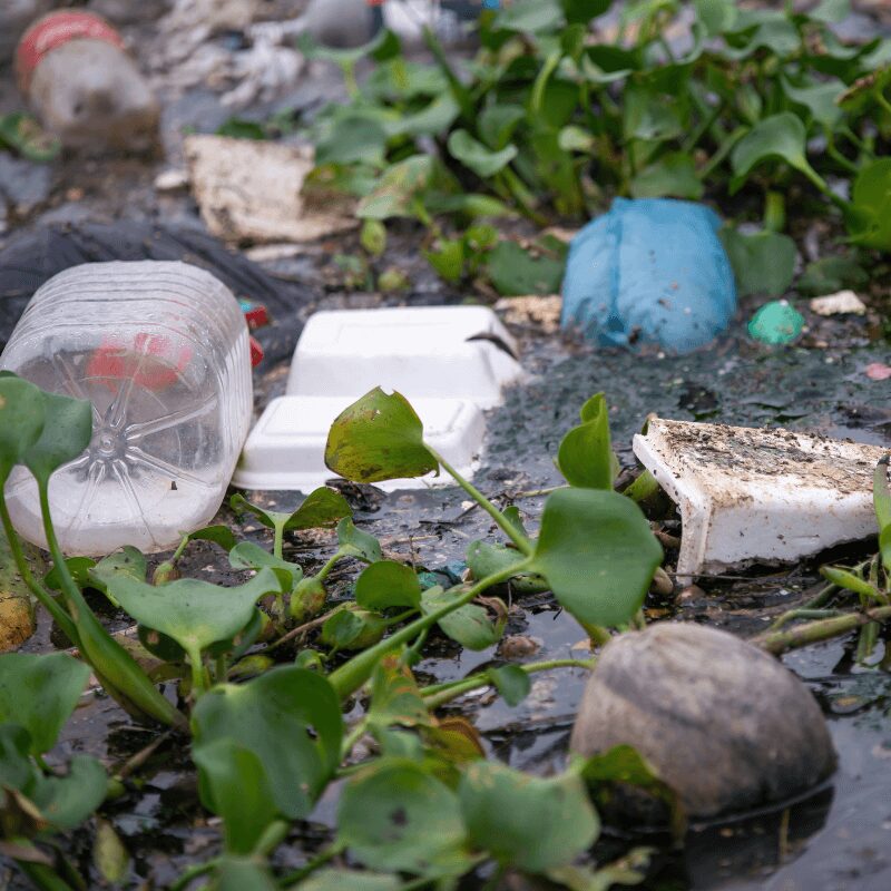 river pollution of plastics